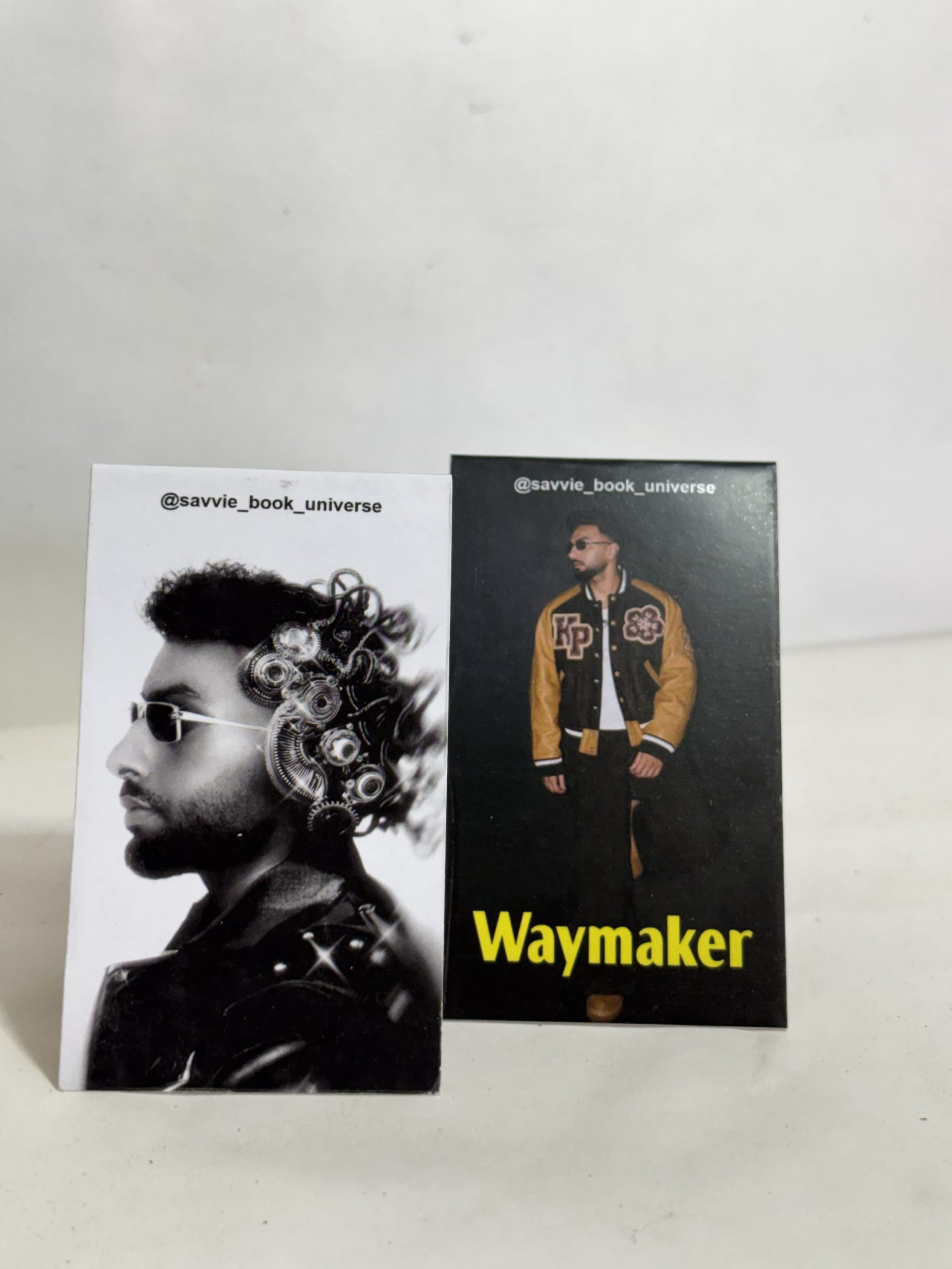 Navaan Sandhu Bookmark